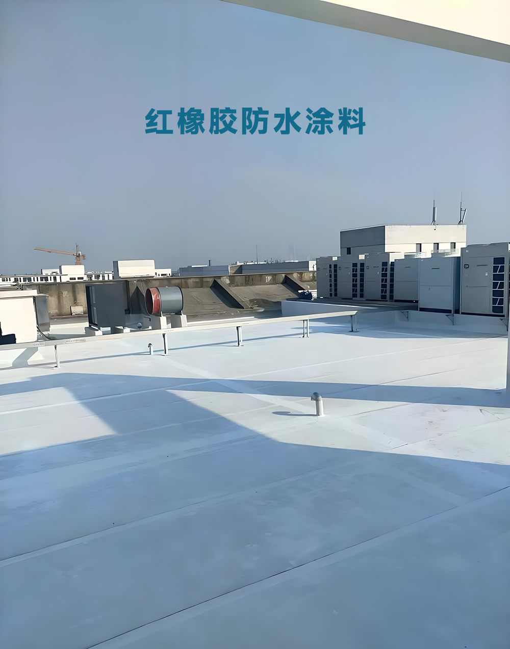 对话行业专家：厂房彩钢瓦与铁皮瓦翻新修复的关键洞察与前瞻